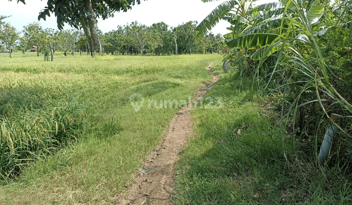 Tanah Dijual Sangat Luas Cocok Untuk Perusahaan di Subang 2