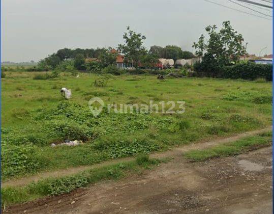 Tanah Luas Dijual Kontur Datar Siap Bangun di Jl Sumuradem, Sukra 2