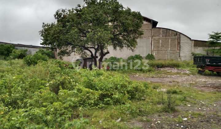 Below Market Price Sale of Dense Commercial Land in North Bekasi