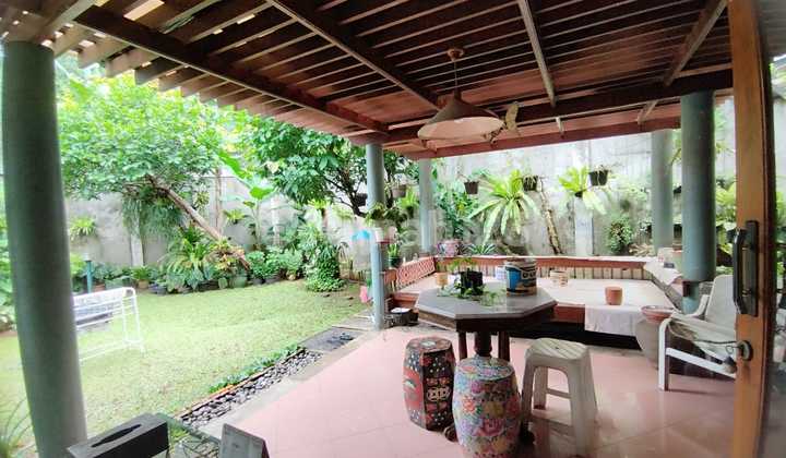 Rumah Asri Apik halaman belakang luas Bagus Strategis Dekat Mesjid Raya