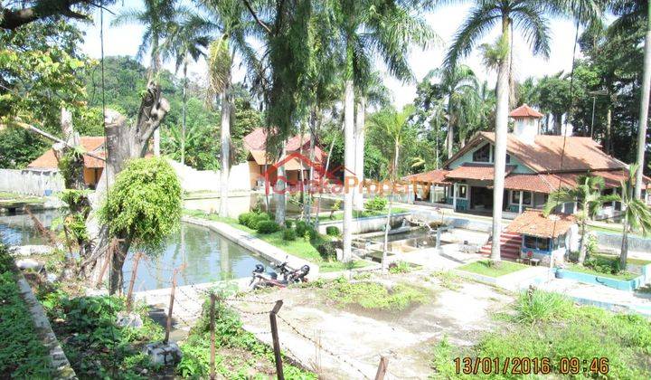 Tanah Pinggir Jalan di Cijambe Subang Cocok utk Wisata Air dan Resto 1
