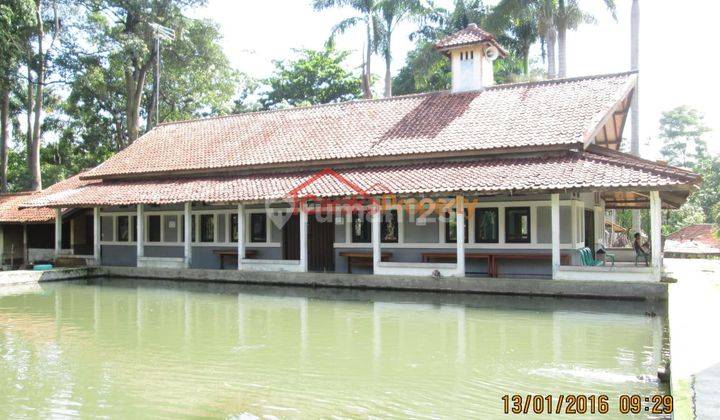 Tanah Pinggir Jalan di Cijambe Subang Cocok utk Wisata Air dan Resto 6