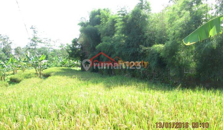 Tanah Pinggir Jalan di Cijambe Subang Cocok utk Wisata Air dan Resto 9