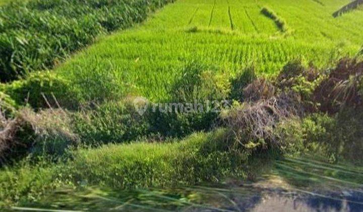 Lahan luas 28 Are di Medehan, Blahbatuh Gianyar 1