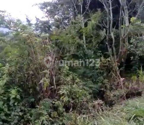 Lahan bagus luas 6 are di Kintamani, Bangli 2