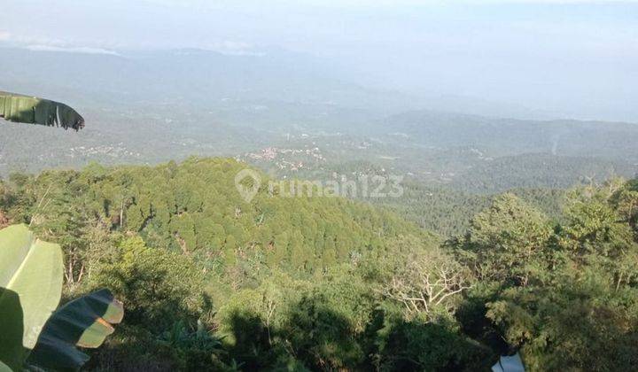 Lahan Luas 12.5 Are Lokasi di Munduk, Buleleng Bali 5