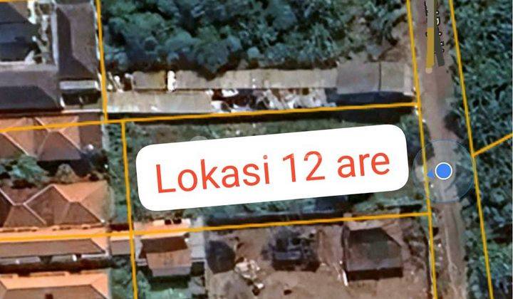 Tanah Disewakan 12 Are Dengan Lokasi Yang Strategis, Area Badung 1