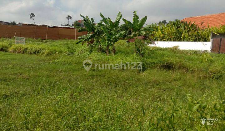 Premium 9 Are Land on Main Road for Sale, West Denpasar Area 1