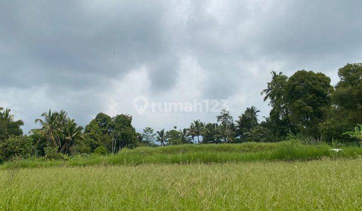Tanah 42.57 are Di Jalan Utama Dijual, di Tabanan 2