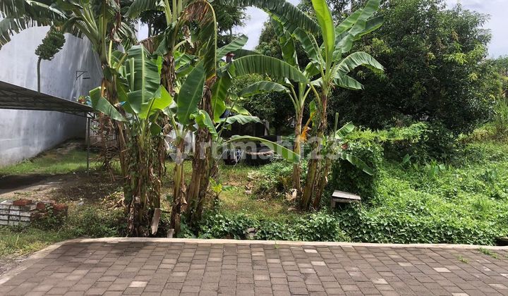 Tanah Cantik 2,93 Are di Kawasan Wisata Dijual, di Berawa Canggu Area
