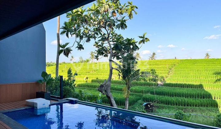 3 Bedroom Villa For Leasehold 30 Years In Canggu