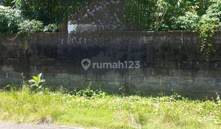 Tanah Premium 5 are Disewakan, di Renon 2