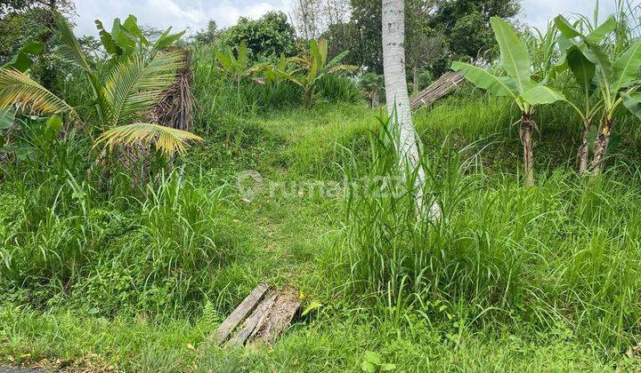 Tanah 42.57 are Di Jalan Utama Dijual, di Tabanan 1
