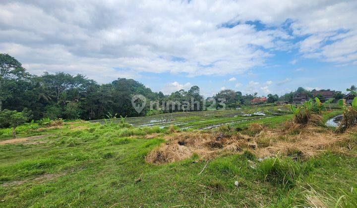 Tanah Murah Dekat Pantai Nyanyi, View Sawah Dan Sungai 2