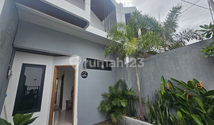 Rumah Minimalis Mezanine 1 Kamar Tidur Disewakan, di Denpasar Selatan 2