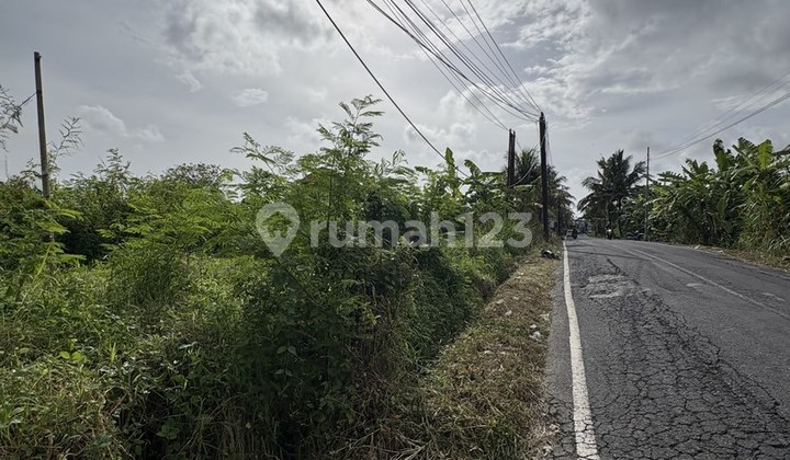 Tanah 12,85 Are Zona Perumahan Angantaka Dijual, di Sukawati Area