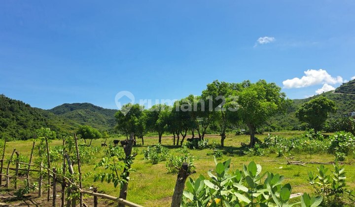 Tanah 57.6 are View Pantai Dijual, di Lombok Tengah 2