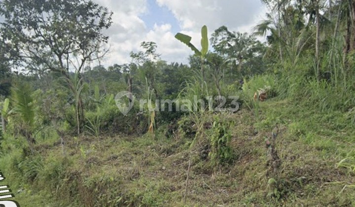 Tanah Strategis 70 Are Dijual, di Tegallalang Gianyar Area