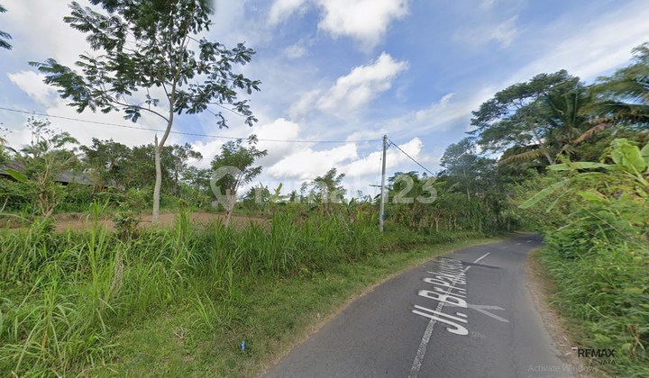 Tanah Asri 25,8 Are Lokasi Bagus Dijual, di Tegallalang Gianyar Area