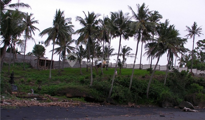 Beachfront Land 20 Are For Sale In Balian Soka, Tabanan Area