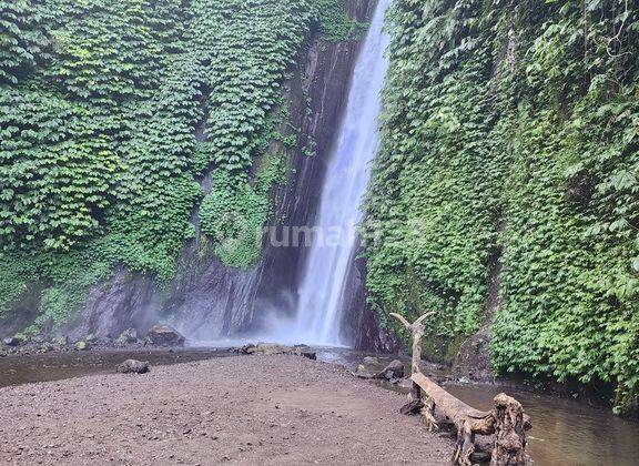 Tanah Dijual Bonus Air Terjun, Harga Murah 2