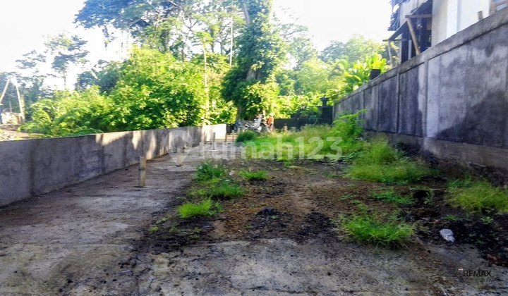 Tanah Premium 1,6 Are Zona Pink Disewakan, di Umalas Kuta Area