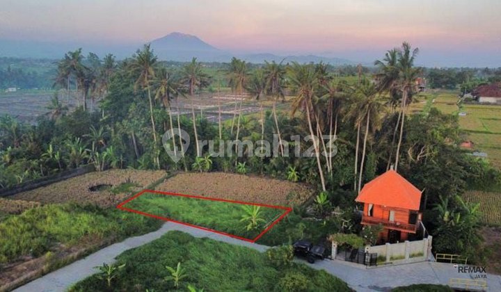 Good Land 2.5 Are Rice Field View for Sale, in Guwang, Gianyar Area Good Land 2.5 Are Rice Field View for Sale, in Guwang, Gianyar Area