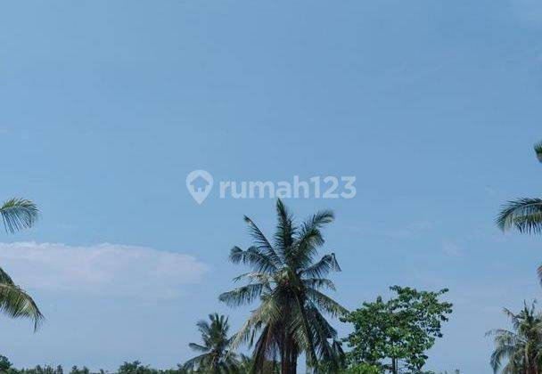 Tanah 24 are pariwisata sunset & river view Disewakan, di Tabanan 1