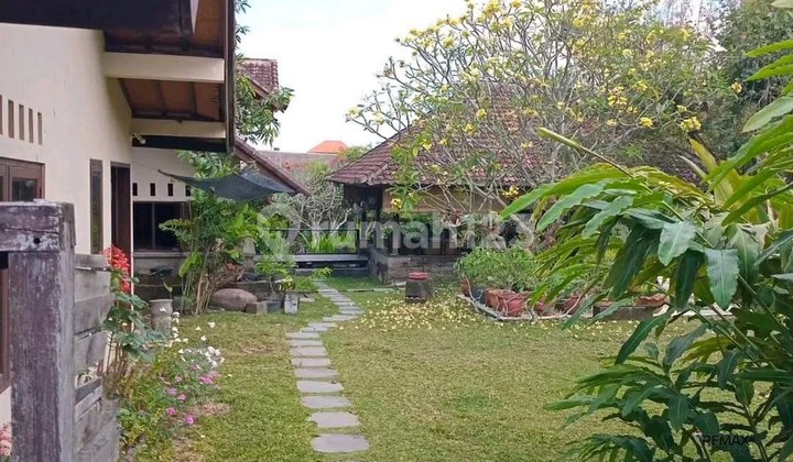Tanah 12 Are Lokasi Bagus Dekat Pantai Dijual, di Canggu, Area