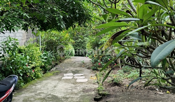 Tanah 7,45 Are Lokasi Tenang dan Nyaman Dijual, di Klungkung Area Tanah 7,45 Are Lokasi Tenang dan Nyaman Dijual, di Klungkung Area