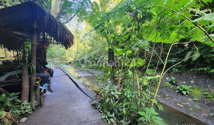 Tanah Dijual Bonus Air Terjun, Harga Murah 1