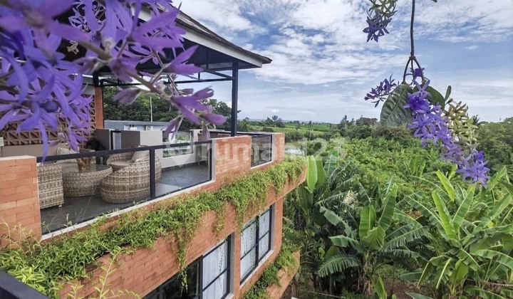 Modern Homestay with Rice Field View for Sale, in Babakan, Canggu Area
