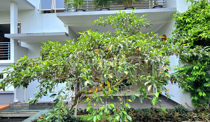 Rumah Mewah Bagus di Telaga Golf Bsd, Tangerang Selatan Rumah Mewah Bagus di Telaga Golf Bsd, Tangerang Selatan