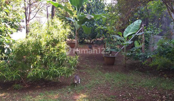 Bintaro Sektor 5 Kaveling Siap Bangun Dekat Lottemall 1