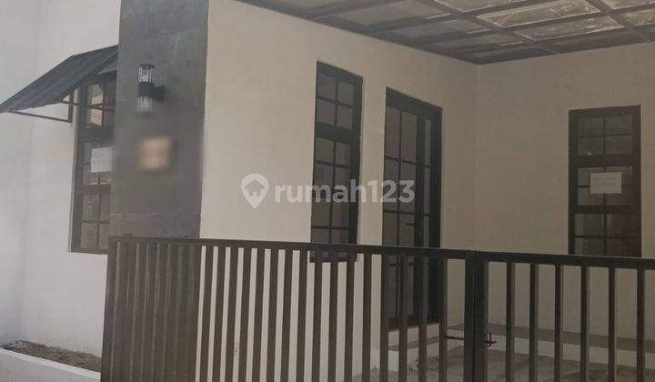 Jalak Bali Graha Bintaro Baru Fresh Bagus 2