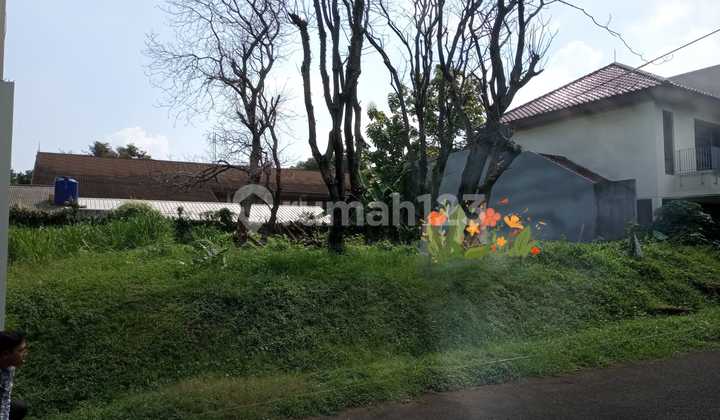 Pine View Tanah Kaveling di Bintaro Jaya Sektor 1 Pine View Tanah Kaveling di Bintaro Jaya Sektor 1