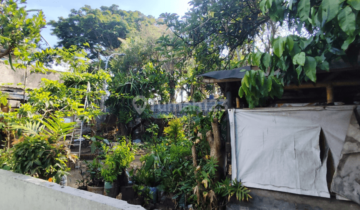 Tanah Area Pemukiman Tengah Kota Utk Rumah Atau Kos Di Kota Batu 1