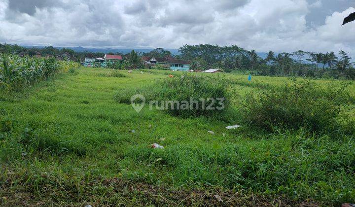 Tanah Poros Jalan Luas Bisa Utk Kantor Atau Vila Kab Malang  2