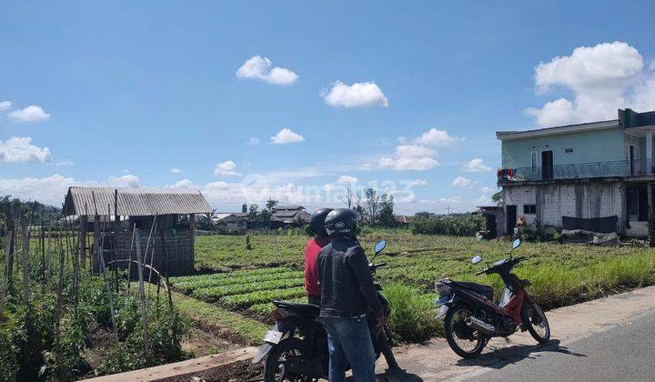 Edisi Bu Tanah Poros Jalan Super Murah Strategis di Kota Batu 1