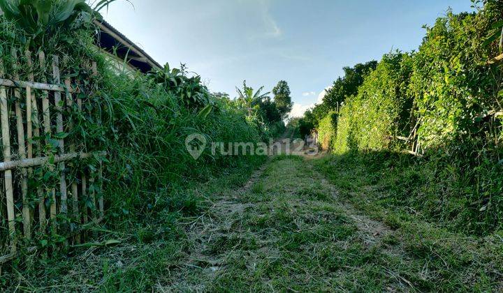 Tanah Luas Murah Kawasan Sejuk Lokasi di Bumiaji Kota Batu 2