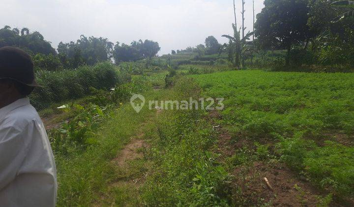 Tanah Luas Subur Untuk Pertanian Dekat Jalan Raya Pujon Malang 2