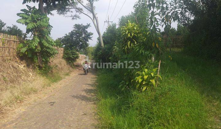 Lahan Kebun Jeruk Produkti Harga Super Murah Dekat Al Hikmah Batu 1