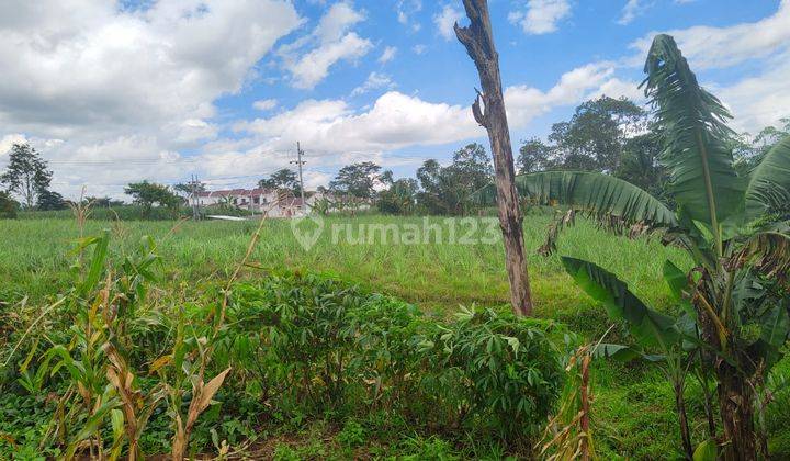 Tanah Luas Subur Asri Untuk Kebun Investasi Di Karangploso Malang 1