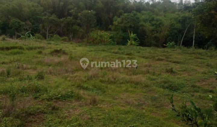 Lahan Sawah Luas Sejuk Asri Subur Strategis Murah Di Kota Batu 2