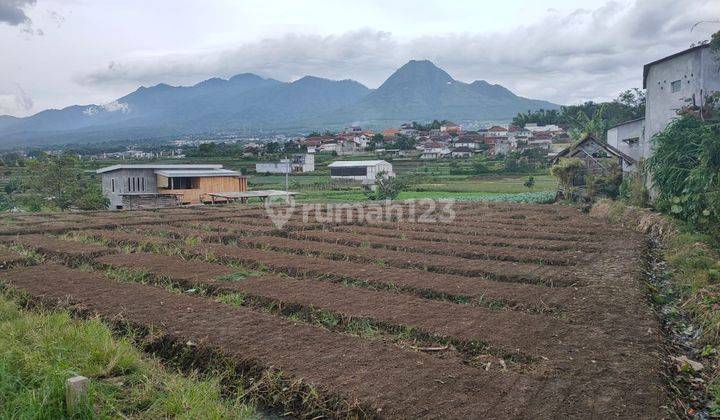 Tanah Murah Luas Kawasan Asri Lokasi di Kota Batu 1