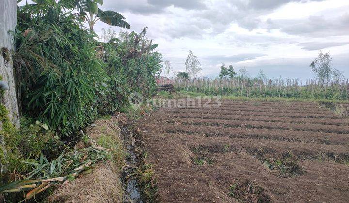 Tanah Murah Luas Kawasan Asri Lokasi di Kota Batu 2