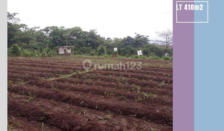 Tanah Pribadi Luas Subur Strategis Dekat Kampus Uin Malang 1