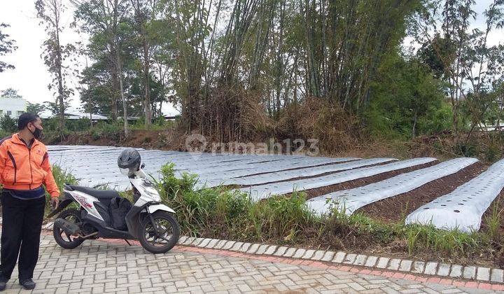 Tanah Murah Akses Mobil Strategis Utk Kos Di Joyogrand Malang 2