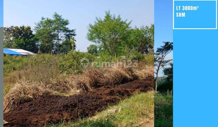 Tanah Super Luas Dekat Pemukiman Cocok Utk Inves Dekat Bns Batu 1