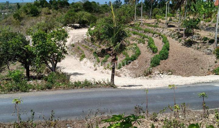 Large Land Good for Investment in the Nusadua Beach Tourism Area, Bali 2